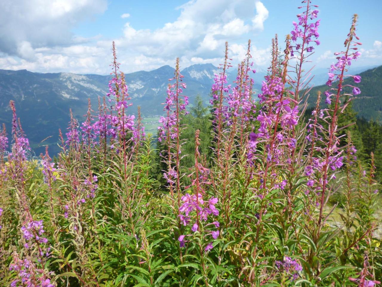 Ferienhaus Untergladner Schladming Buitenkant foto